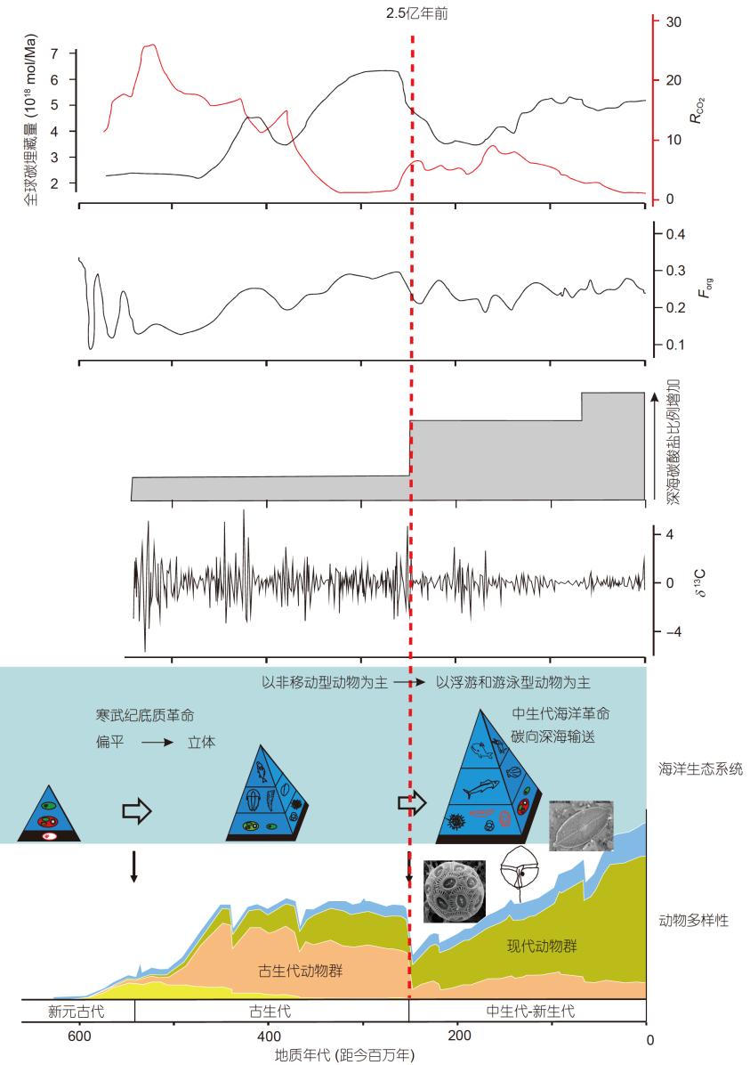 动物多样性,同位素组成,动物大灭绝