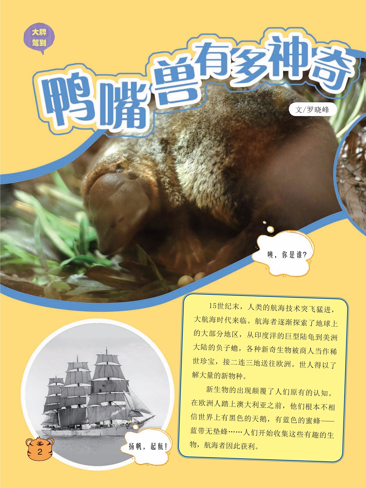 15世纪末人类的航海技术突飞猛进,新生物的出现颠覆了人们原有的认知