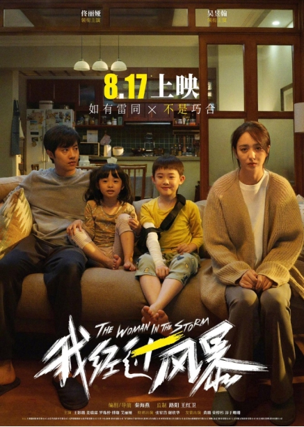 《我经过风暴》海报